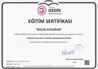 ysertifika10